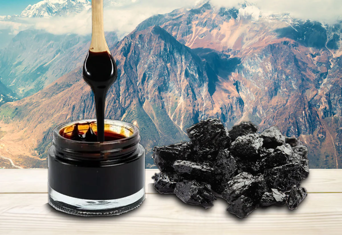 shilajit resin merlion naturals himalayan